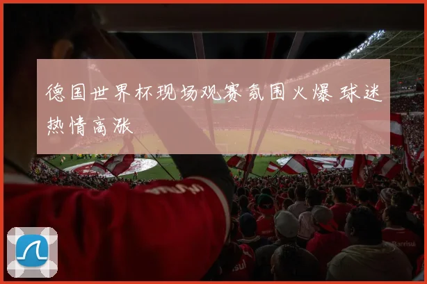德国世界杯现场观赛氛围火爆 球迷热情高涨