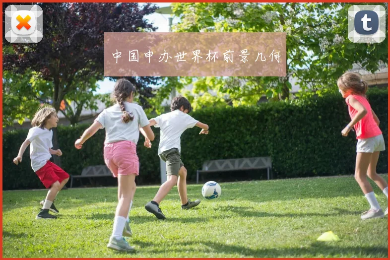 中国申办世界杯前景几何