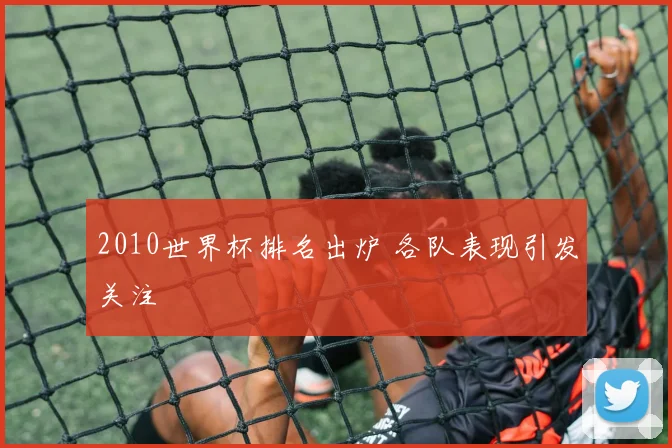2010世界杯排名出炉 各队表现引发关注