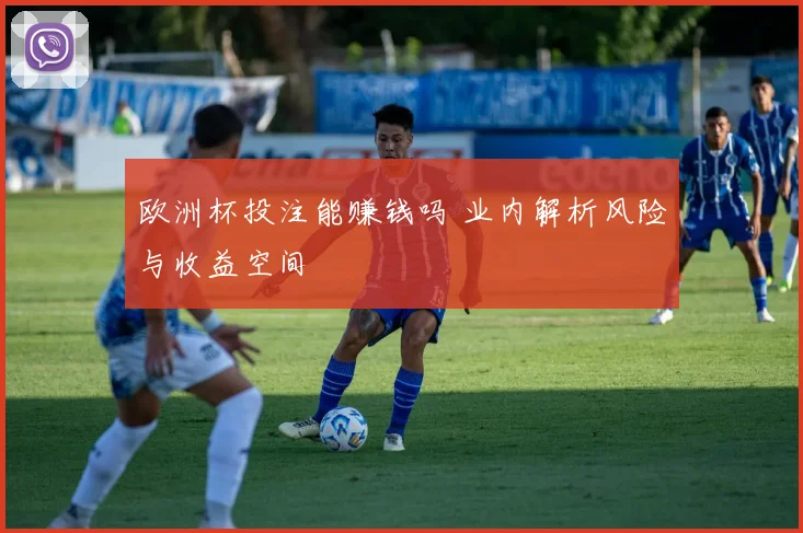 欧洲杯投注能赚钱吗 业内解析风险与收益空间
