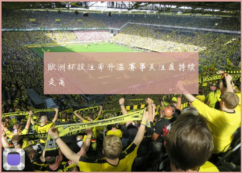 欧洲杯投注率升温 赛事关注度持续走高