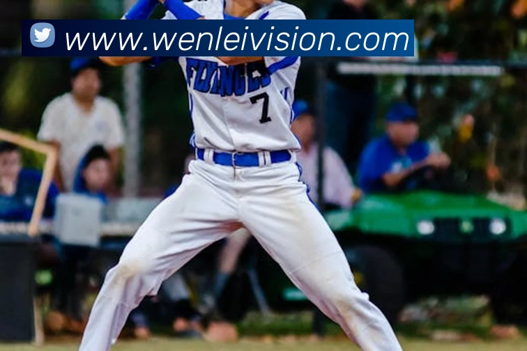 投注app官网发展历程